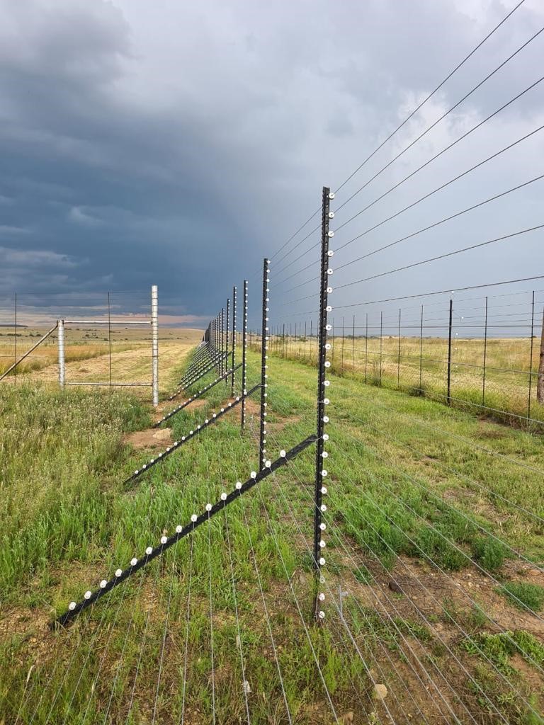fencing